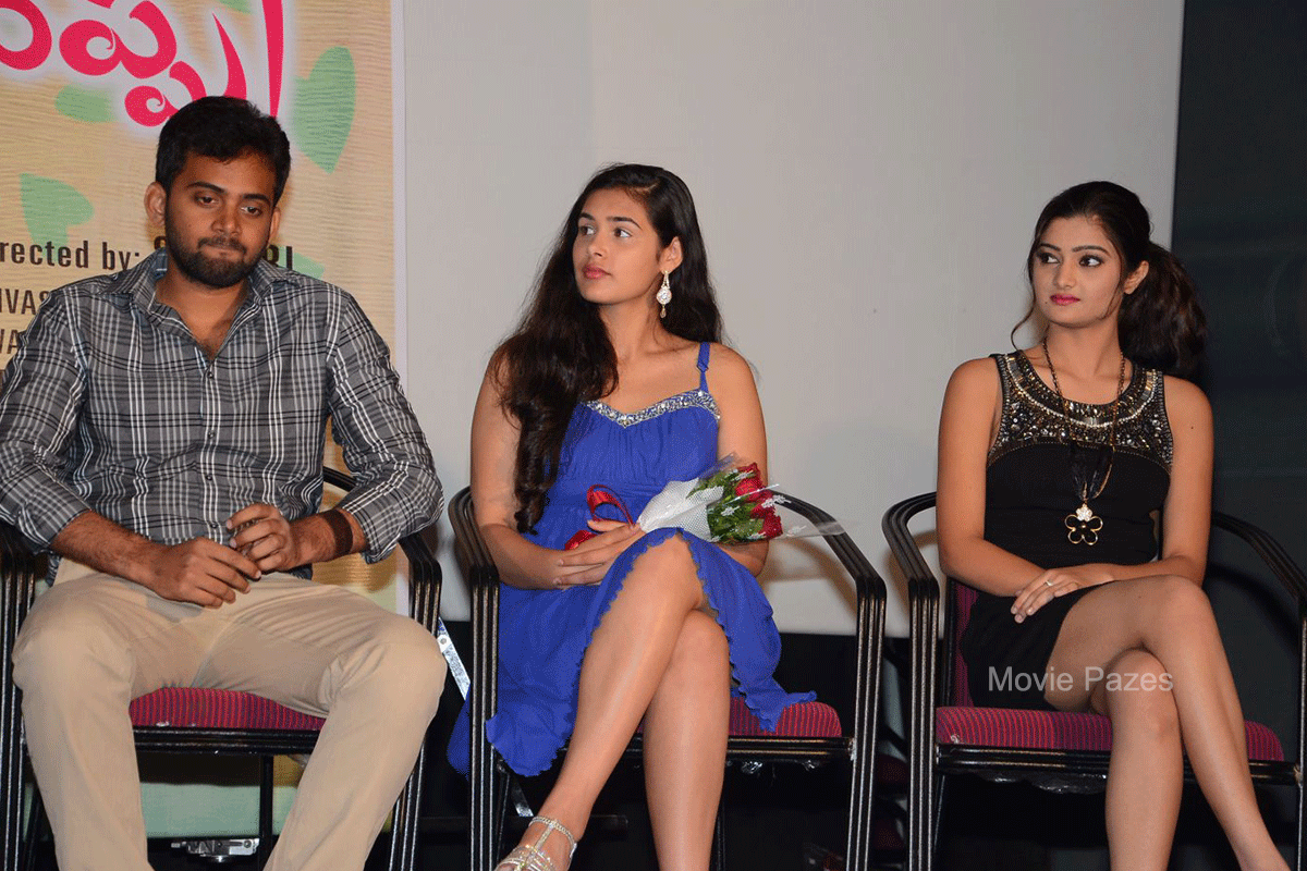 inkenti-nuvve-cheppu-platinum-disc-function